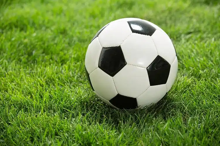 多平台下载支持